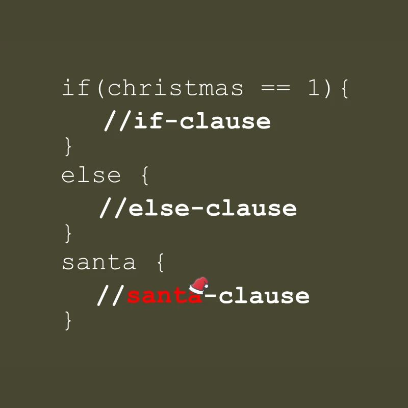 Santa Clause - Christmas programmer gift
