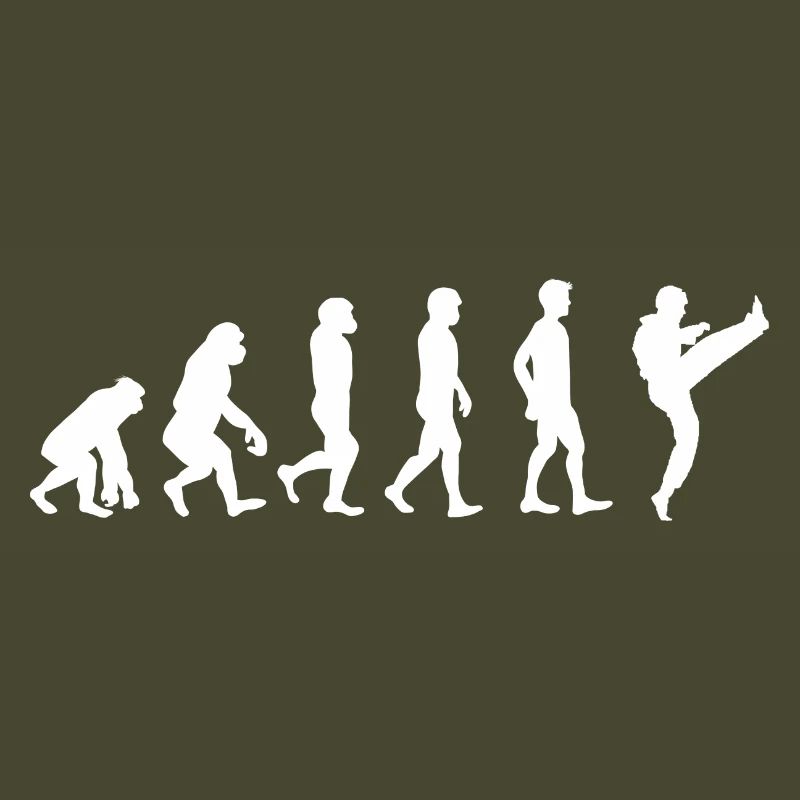 Evolution Karate