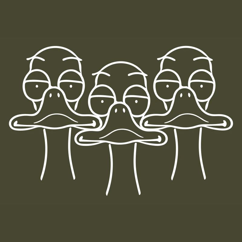 Three funny ducks