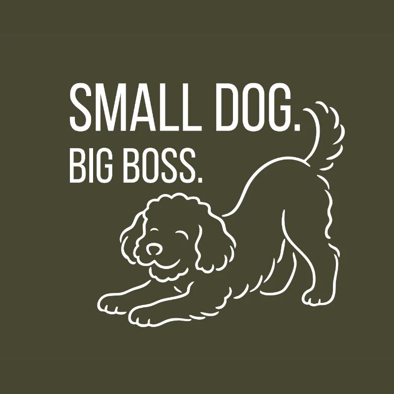 Zwergpudel, Malti-poo oder Königspudel 