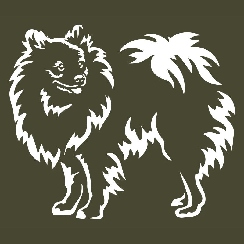 Spitz "Black Edition"