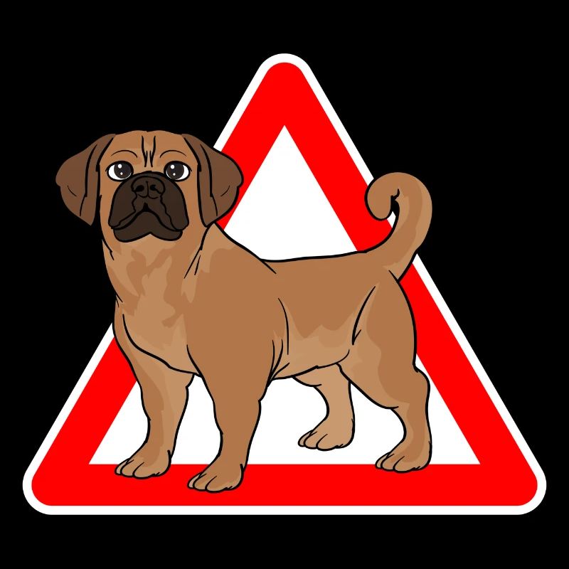 Puggle beagle carlin