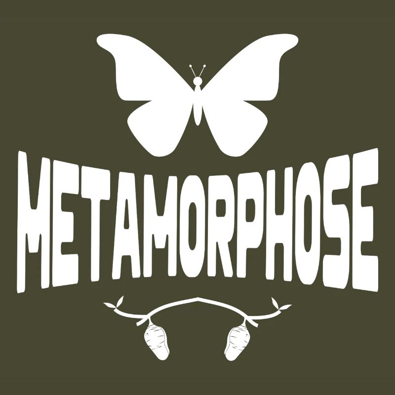 papillon, chrysalide, métamorphose, chenille