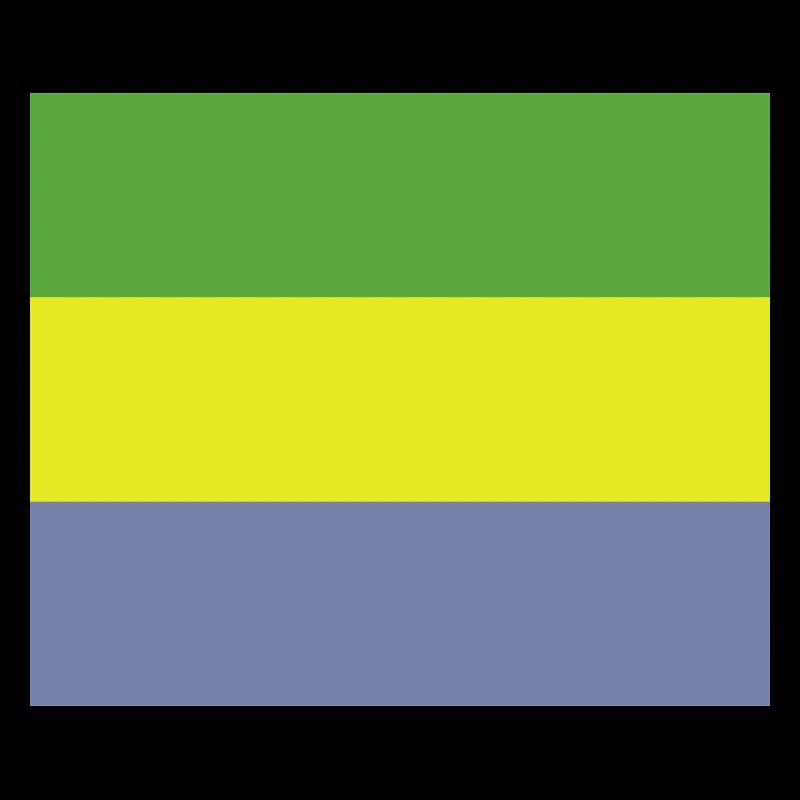 Drapeau gabonais