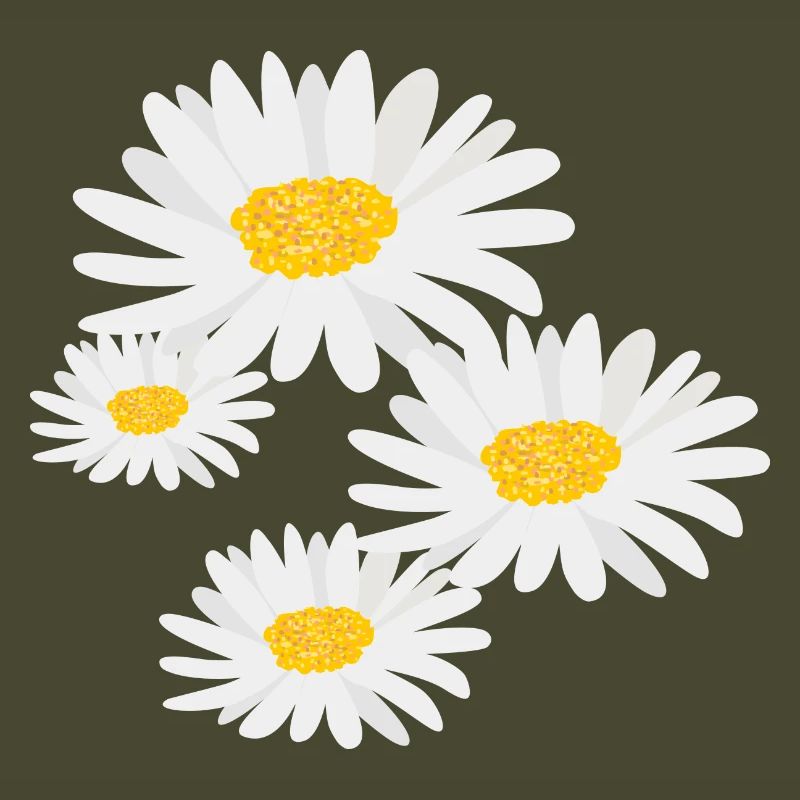 Blume Gänseblümchen