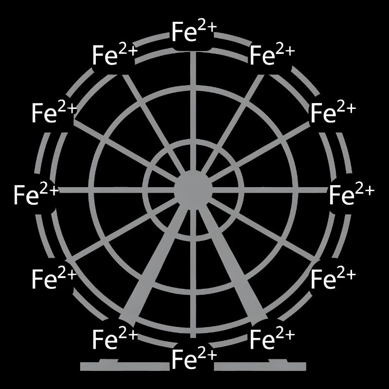 Conception scientifique de la chimie des ions Fer-ferreux Fe2+