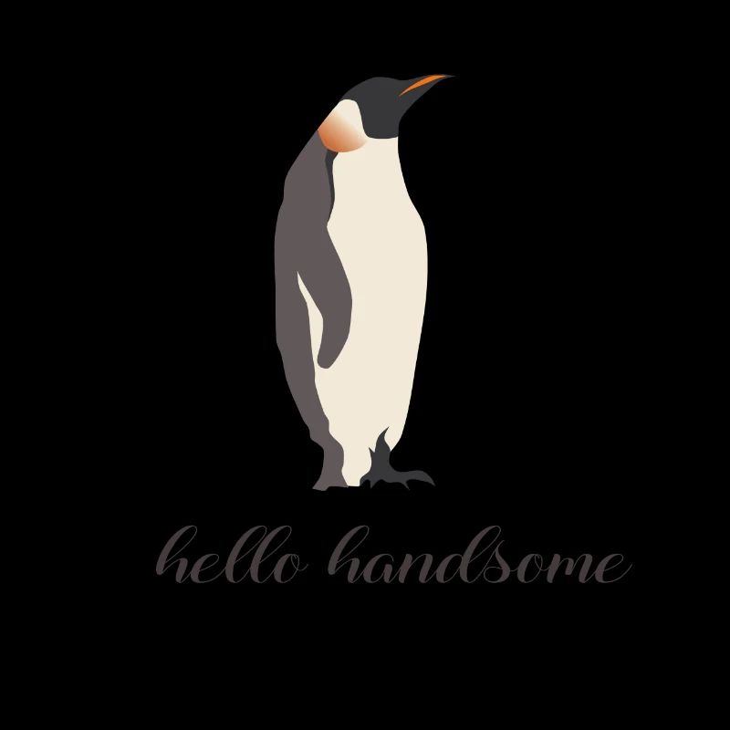 hello handsome