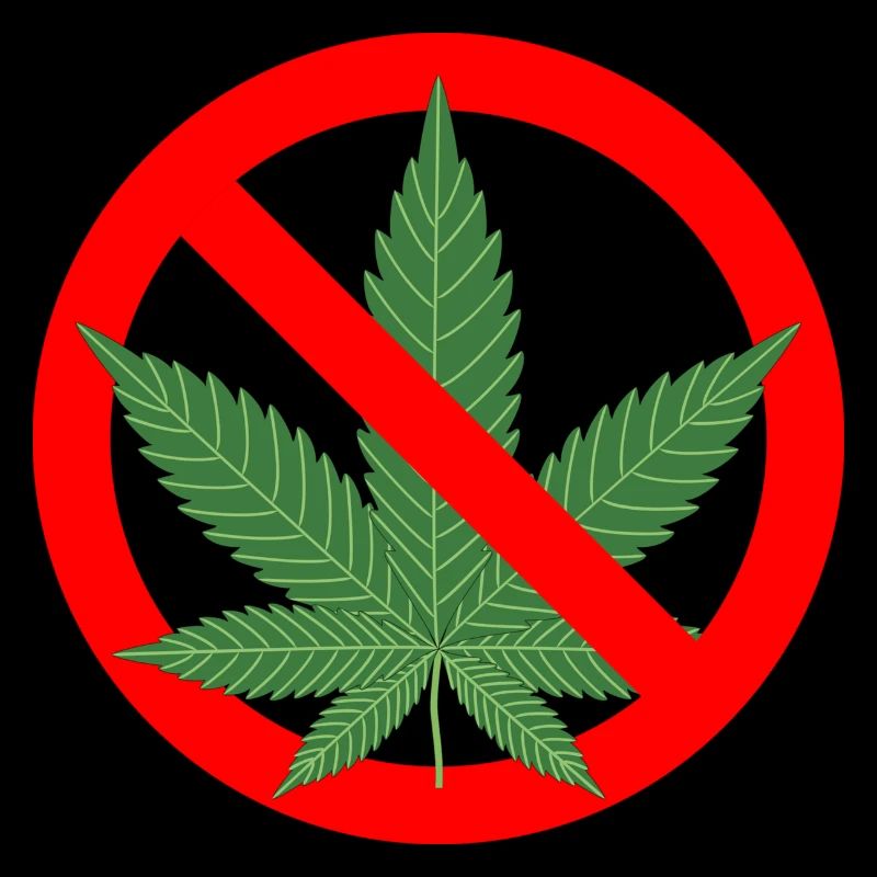 Aucune interdiction de cannabis