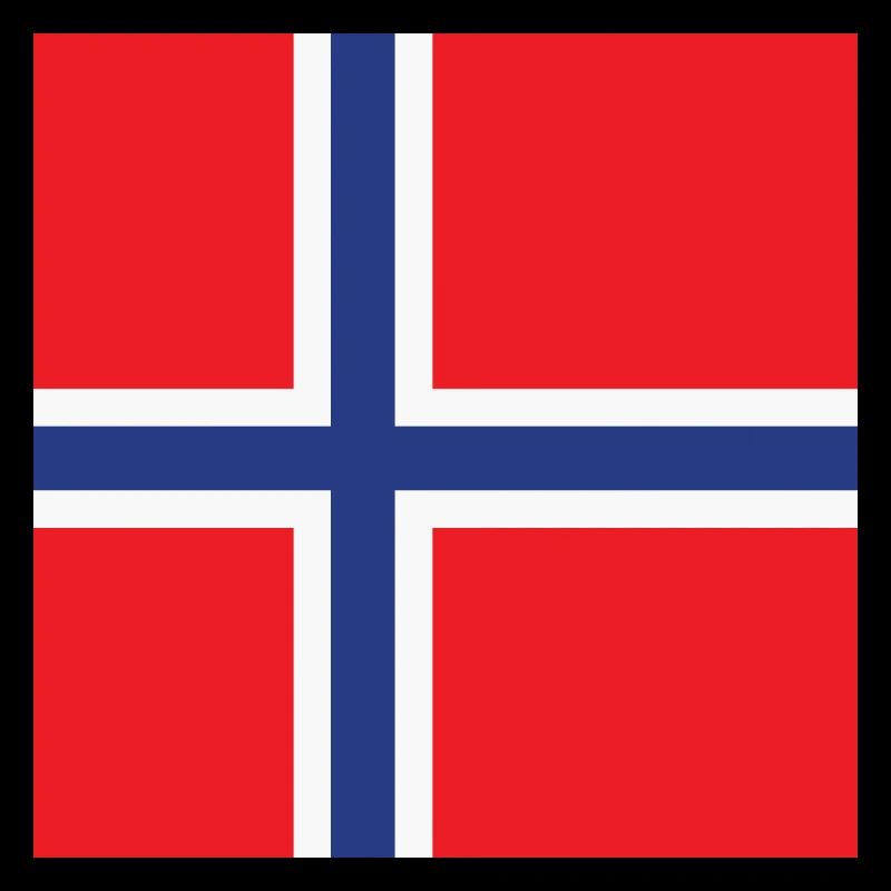 Norway Flag - Norwegian Pride Gift