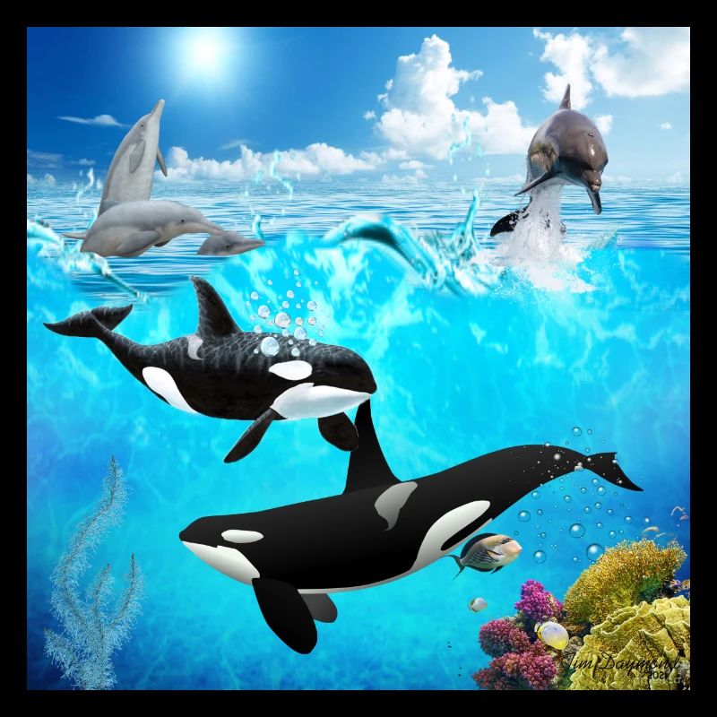 Undersea Pod: Orca and Dolphin Dive