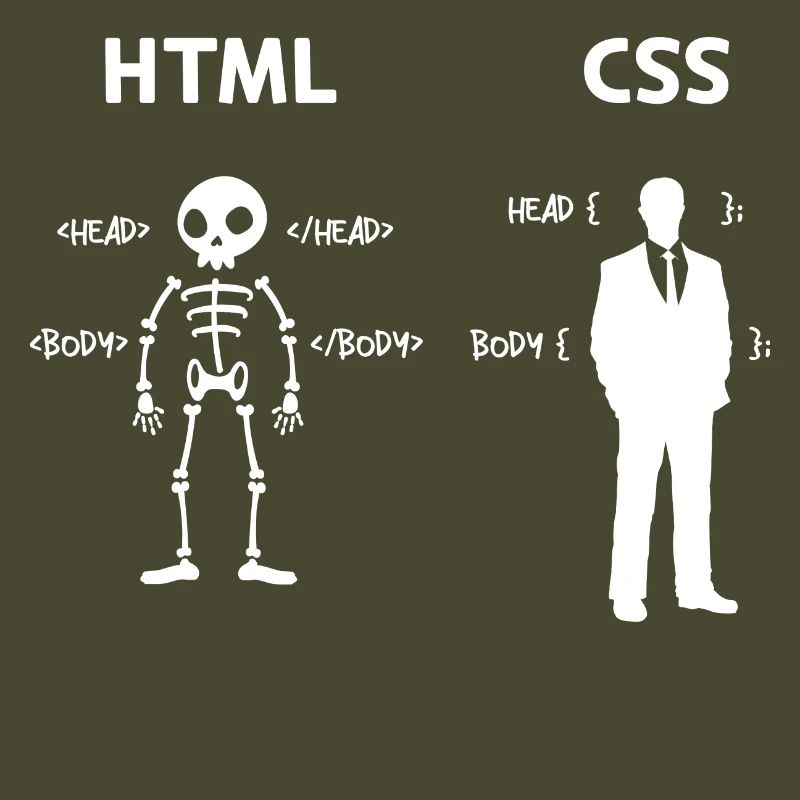 Code Css C++ Php Java Développeur Code Scripting