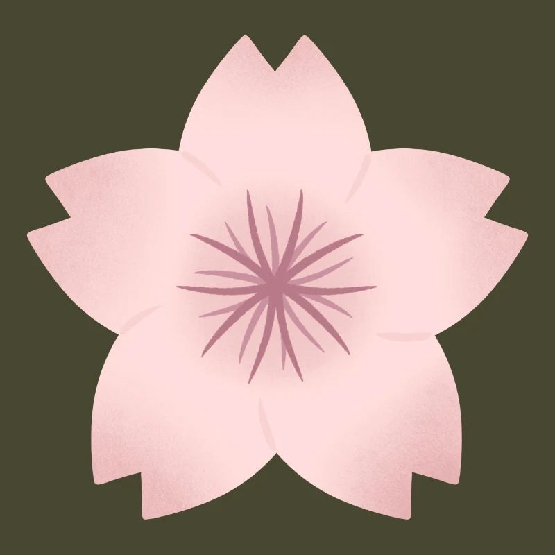 Blush Cherry Bloom
