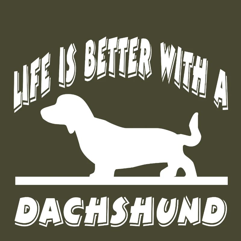 Dachshund