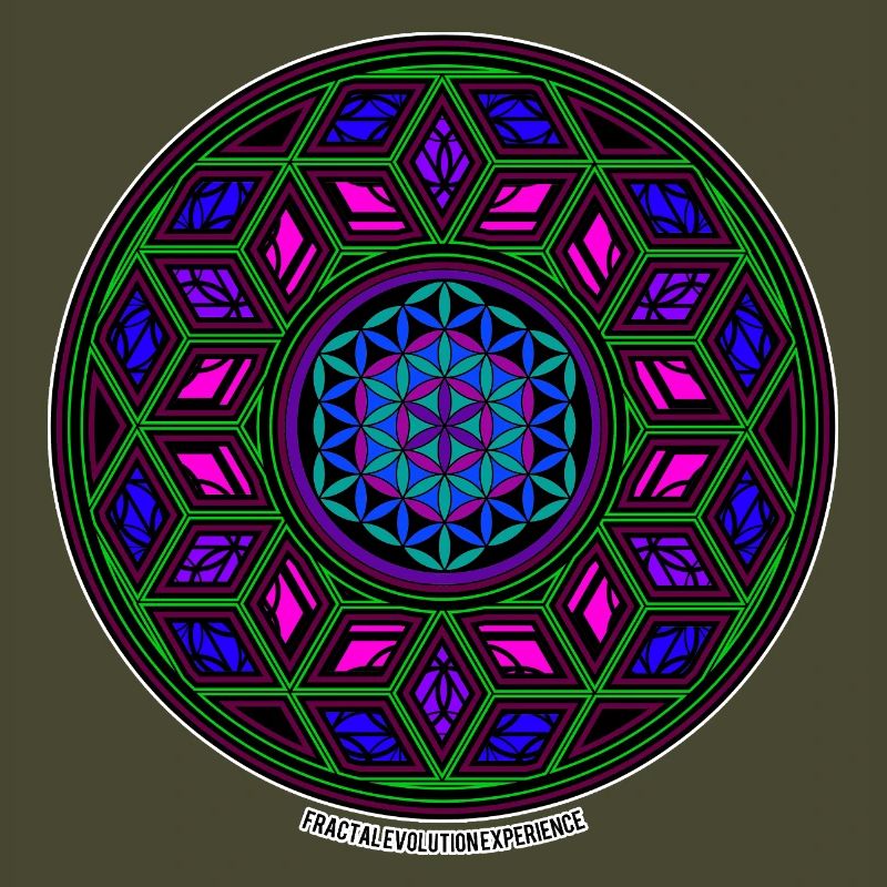 Fractal Evolution Experience Kaleidoscope Mandala