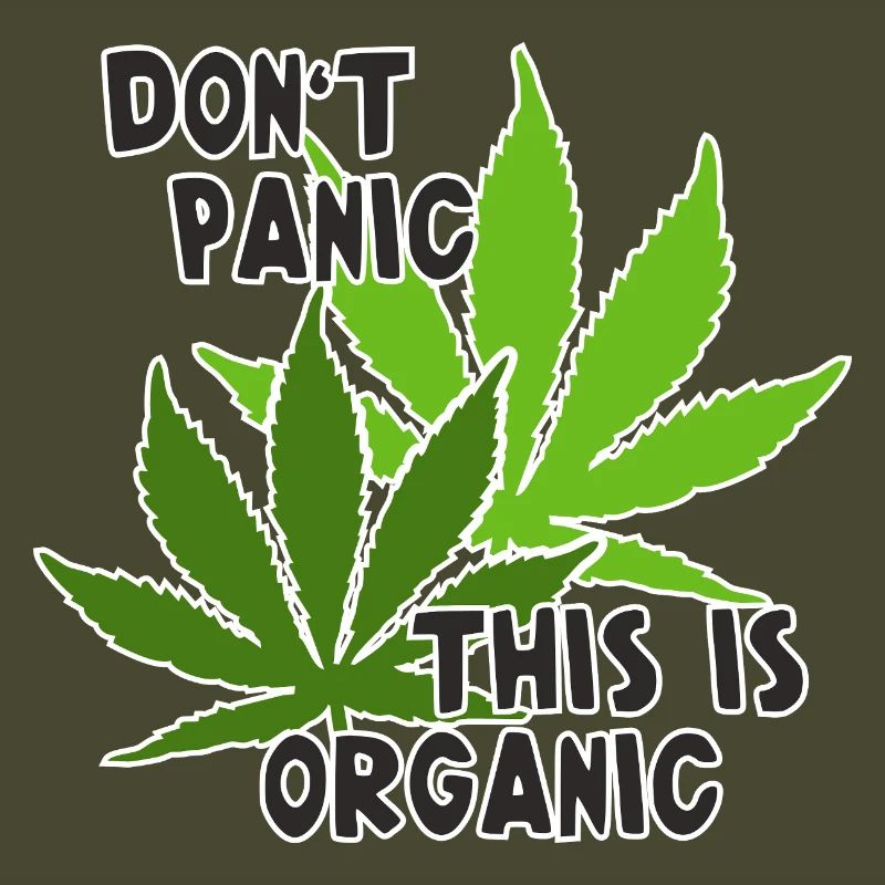 Feuilles de cannabis - Pas de panique, c’est bio 1