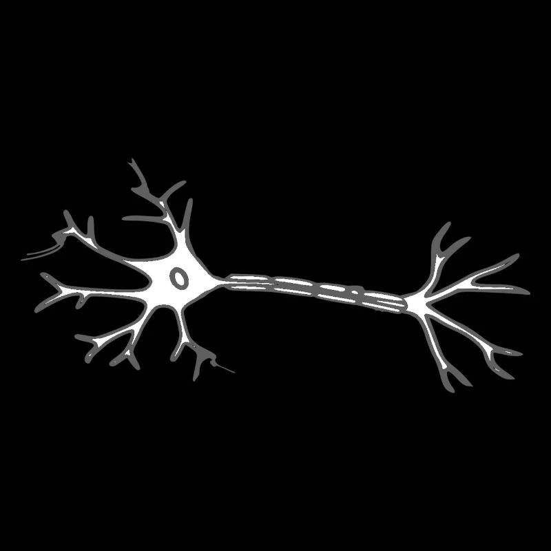 Neuron