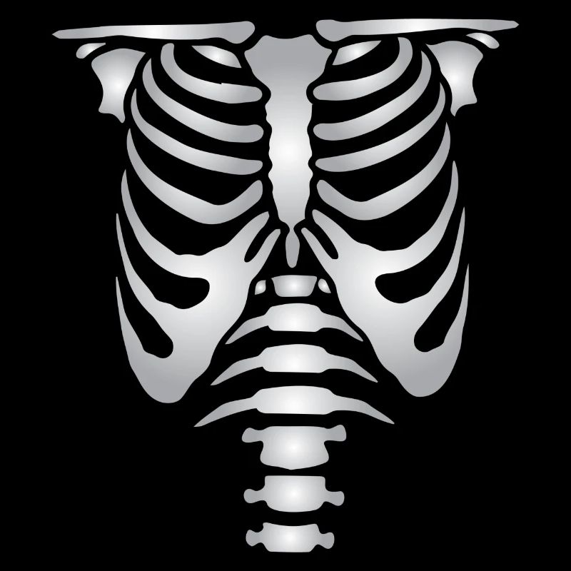 Human skeleton bones torso