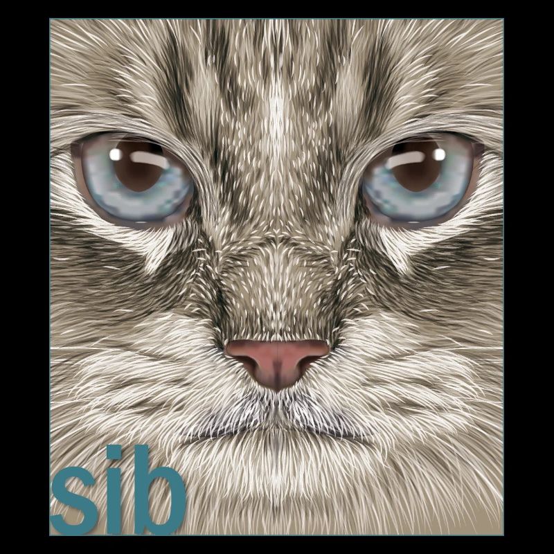 Siberian Cat