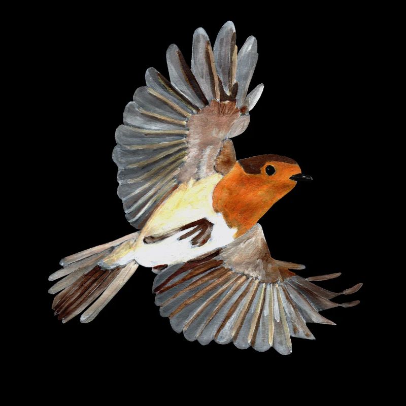 Robin