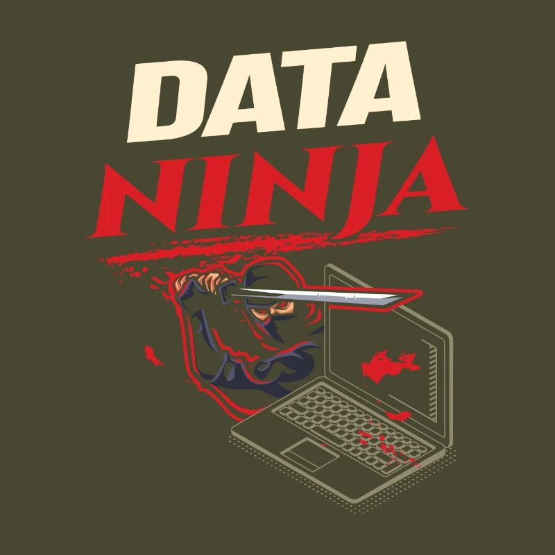 Data Ninja computer programming coder