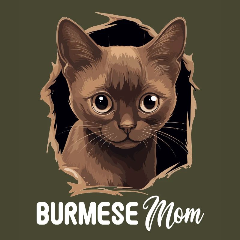 Chat birman Birmanie Katze
