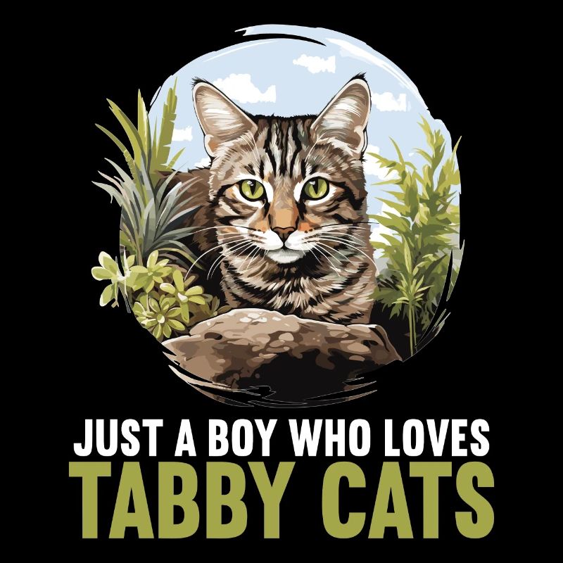 Tabby Kätzchen Tabby Katze