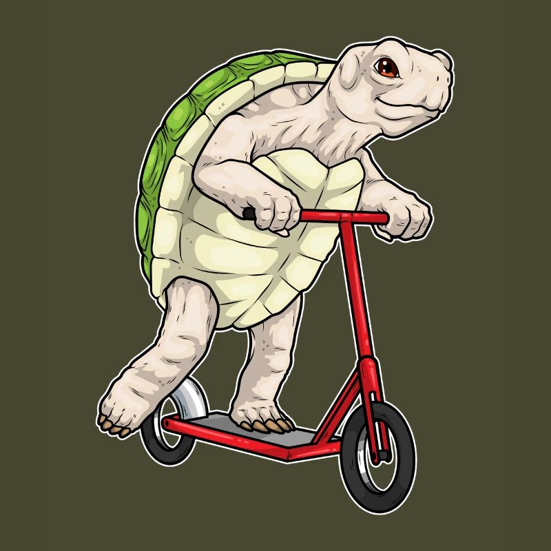 Turtle scooter
