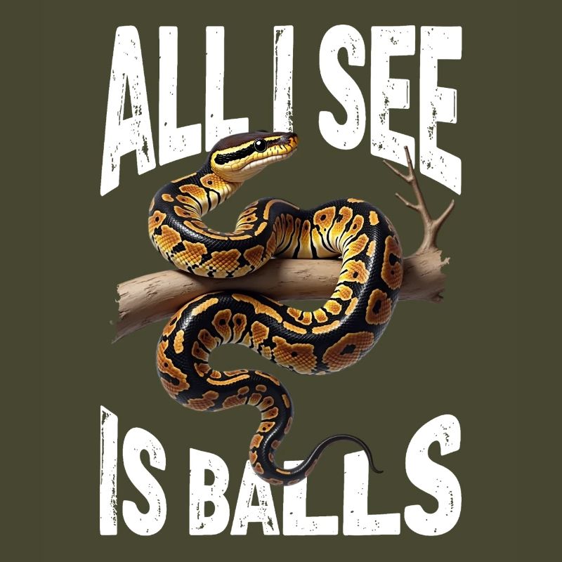 Python roi Serpents Amateurs de terrarium Python