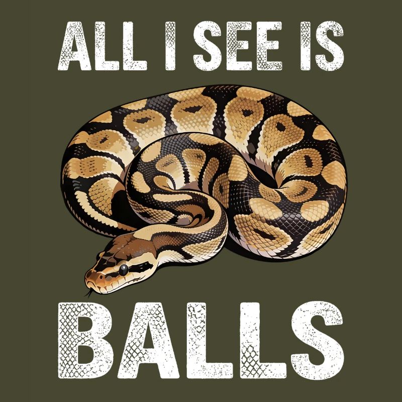 Königspython Schlangen Liebhaber Terrarium Python