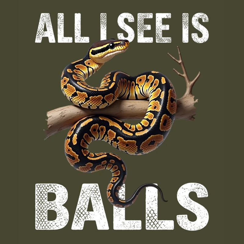 Python roi Serpents Amateurs de terrarium Python