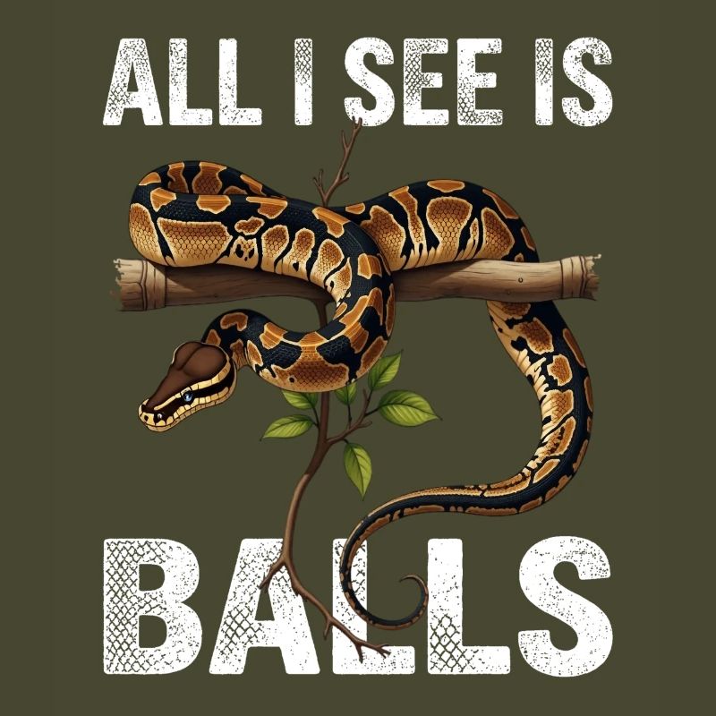 Königspython Schlangen Liebhaber Terrarium Python