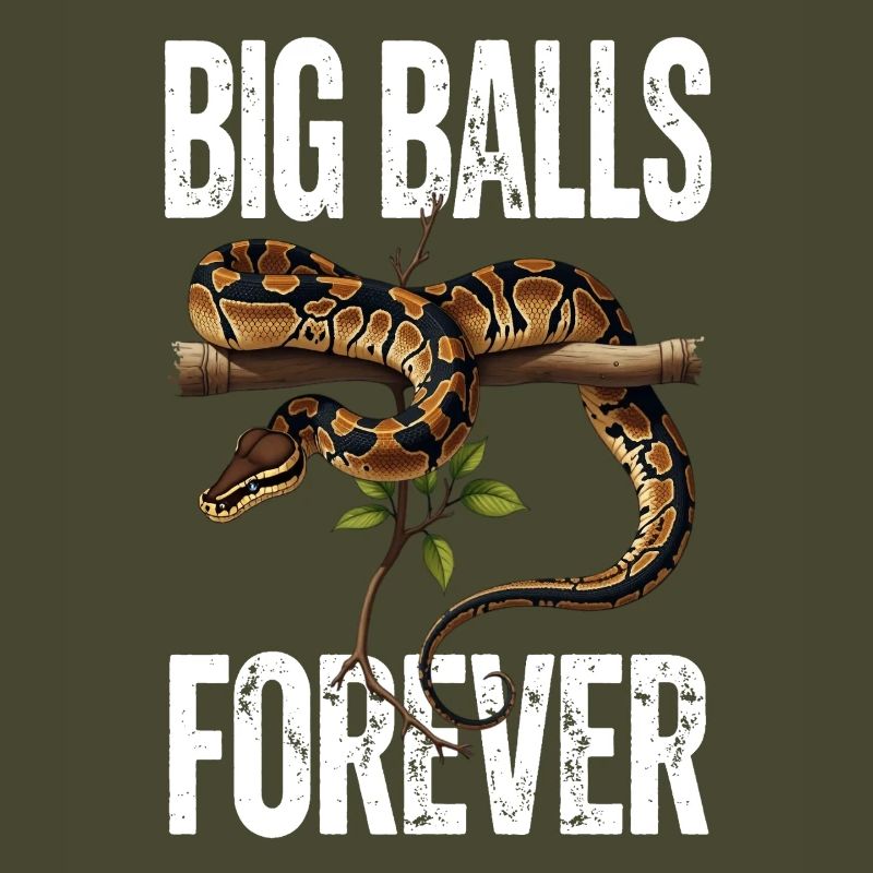 Python roi Serpents Amateurs de terrarium Python