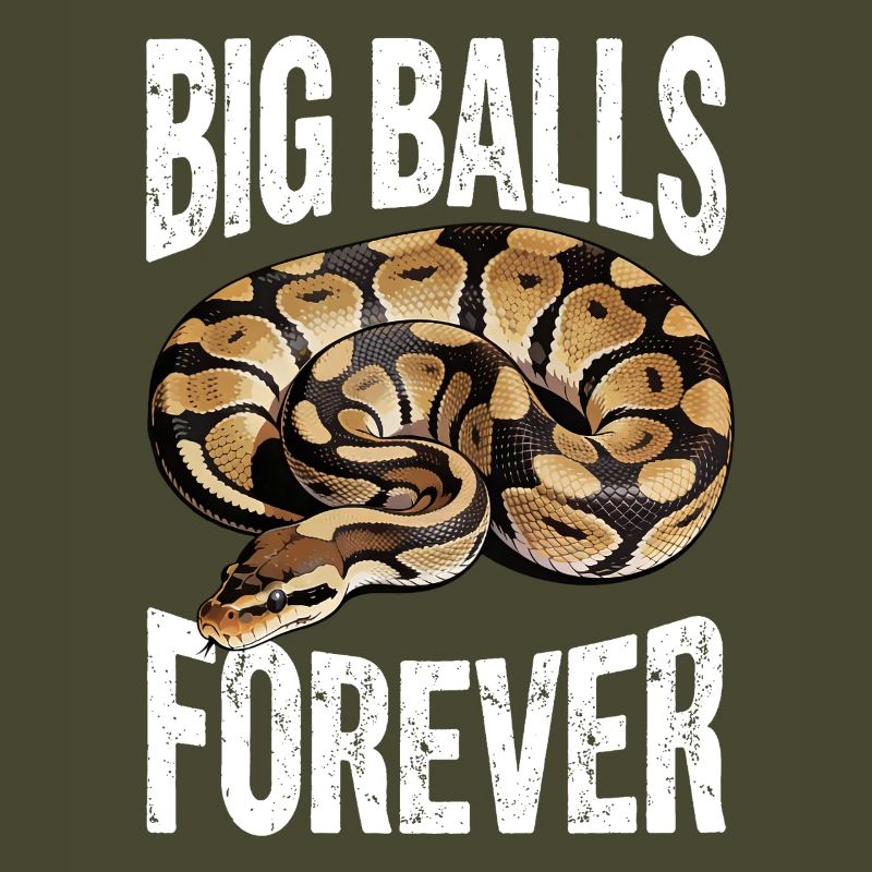 Python roi Serpents Amateurs de terrarium Python