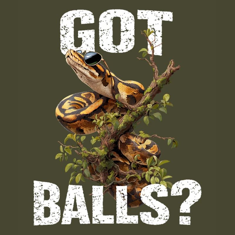Python roi Serpents Amateurs de terrarium Python