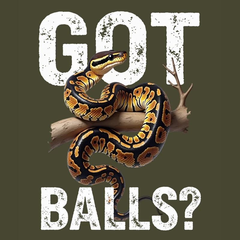 Python roi Serpents Amateurs de terrarium Python