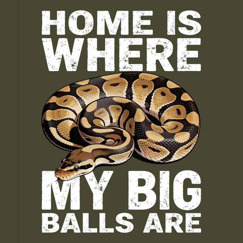 Python roi Serpents Amateurs de terrarium Python