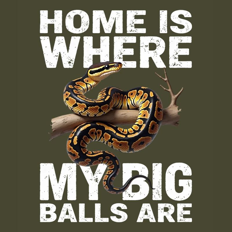 Python roi Serpents Amateurs de terrarium Python