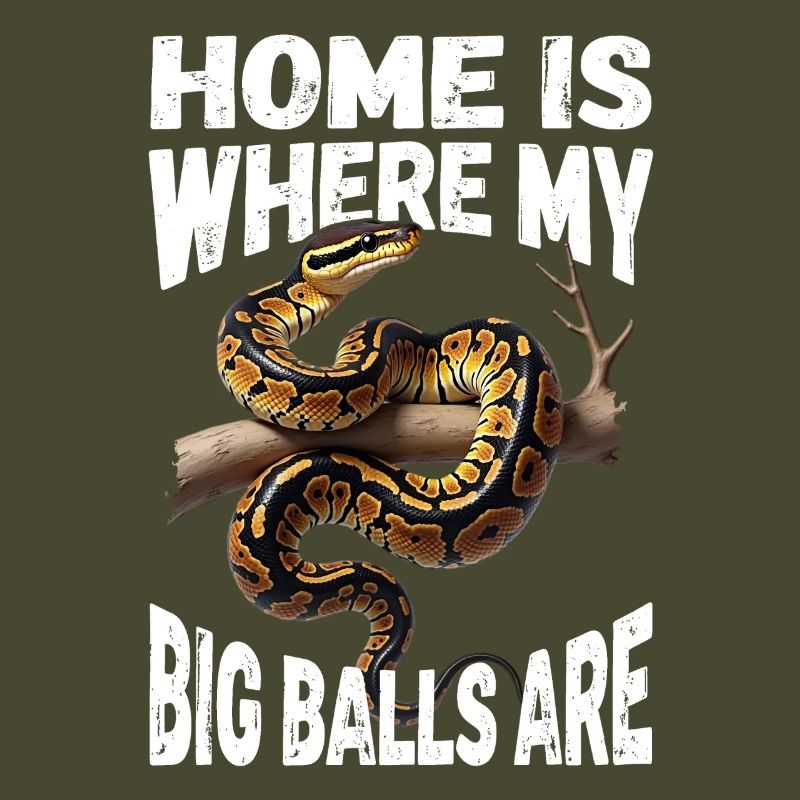 Python roi Serpents Amateurs de terrarium Python