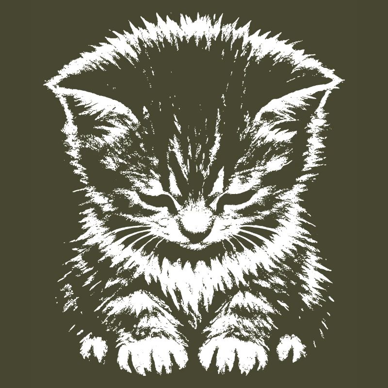 Cadeau du mème du chat triste
