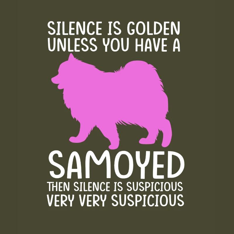 Samojede Hund Samoyed