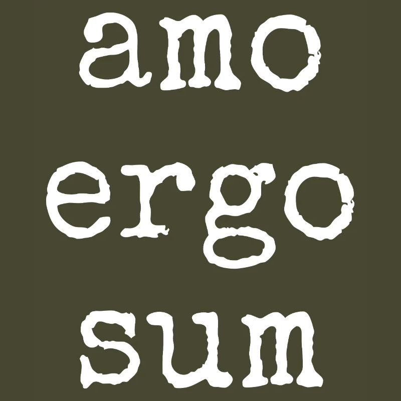 amo ergo sum - ich liebe also bin ich - Spruch