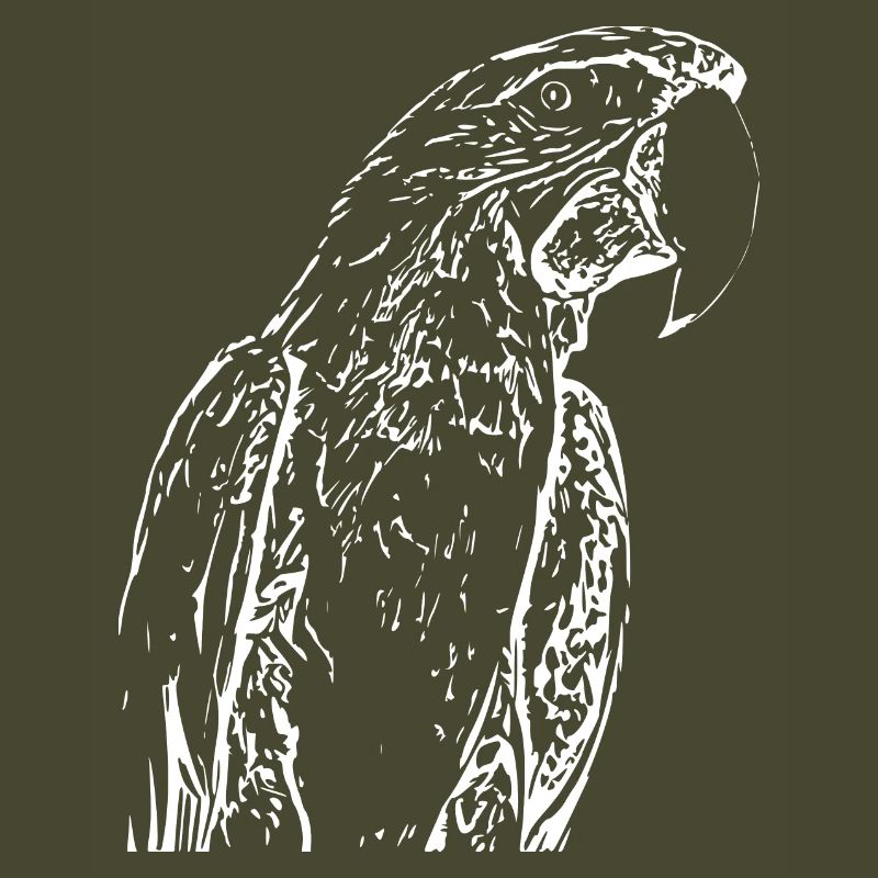 Perroquets Oiseau Blanc