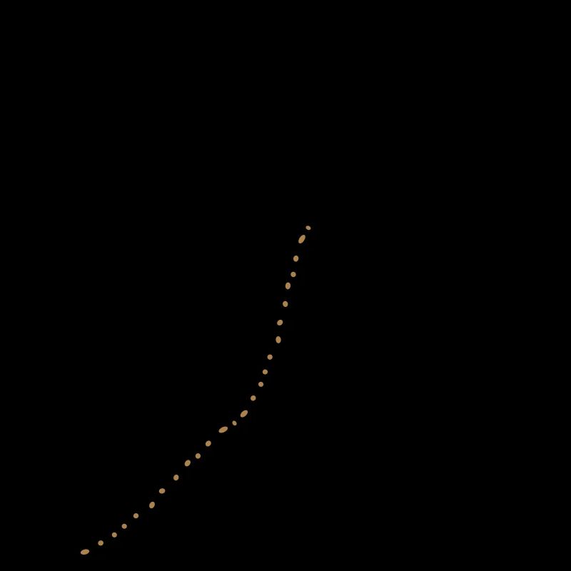 Kackvogel oiseaux merde oiseau merde 2c