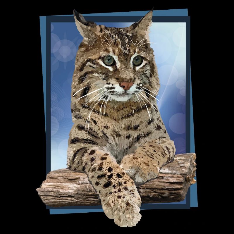 Lynx
