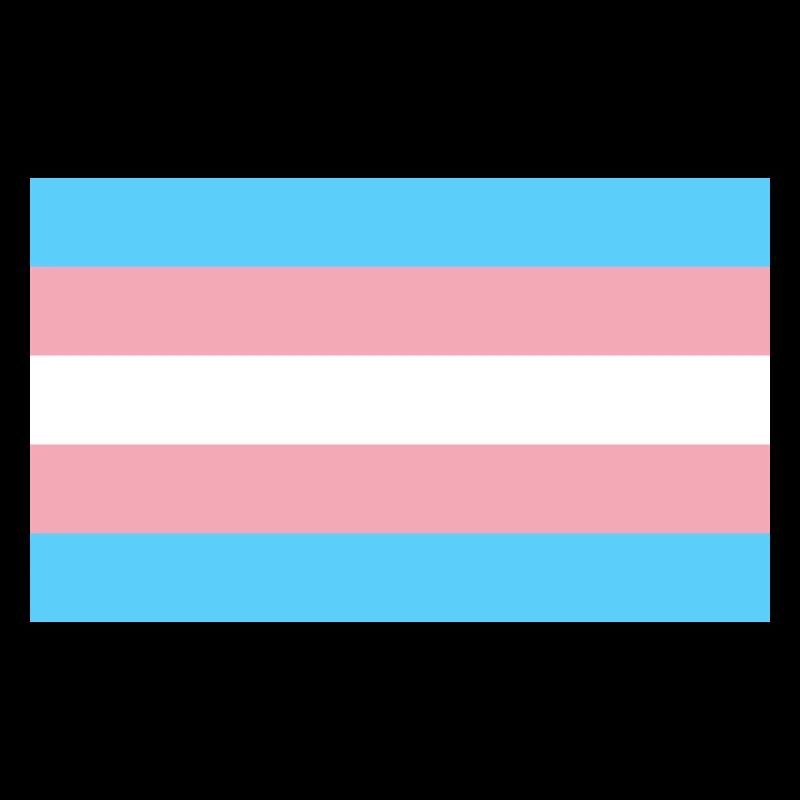 Trans Flag