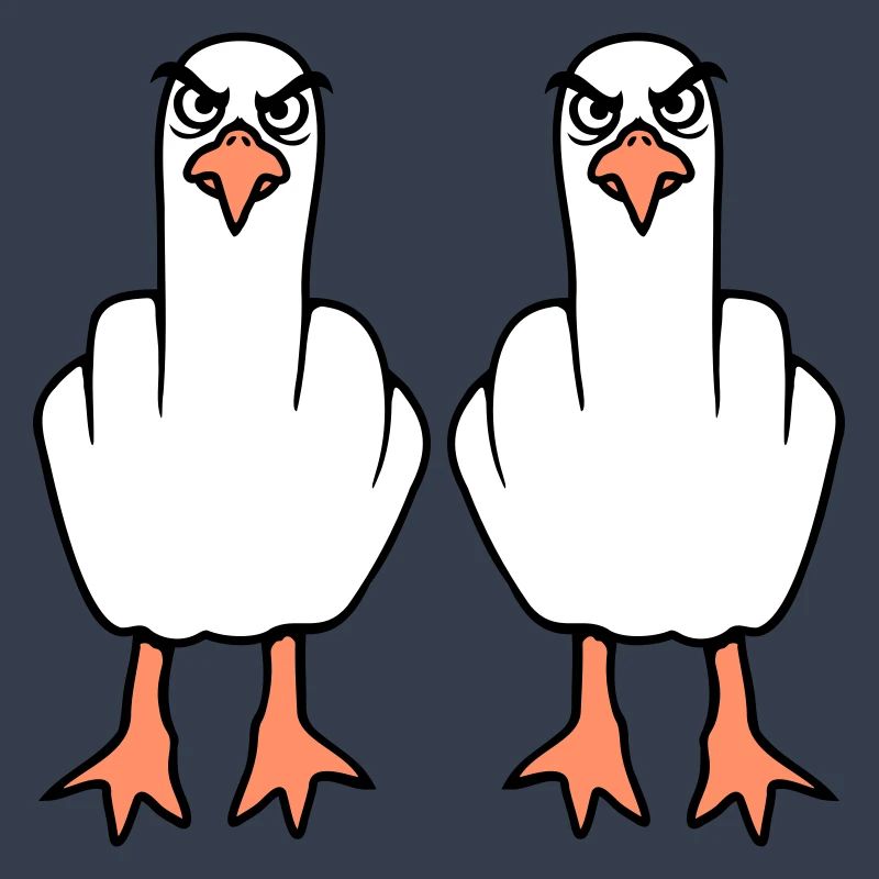 2 Möwen Mittelfinger Beleidigung Stinkefinger Team