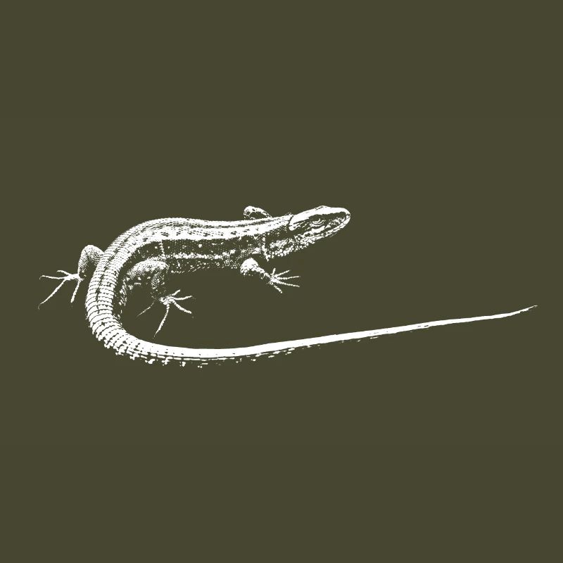 Eidechse / Lizard