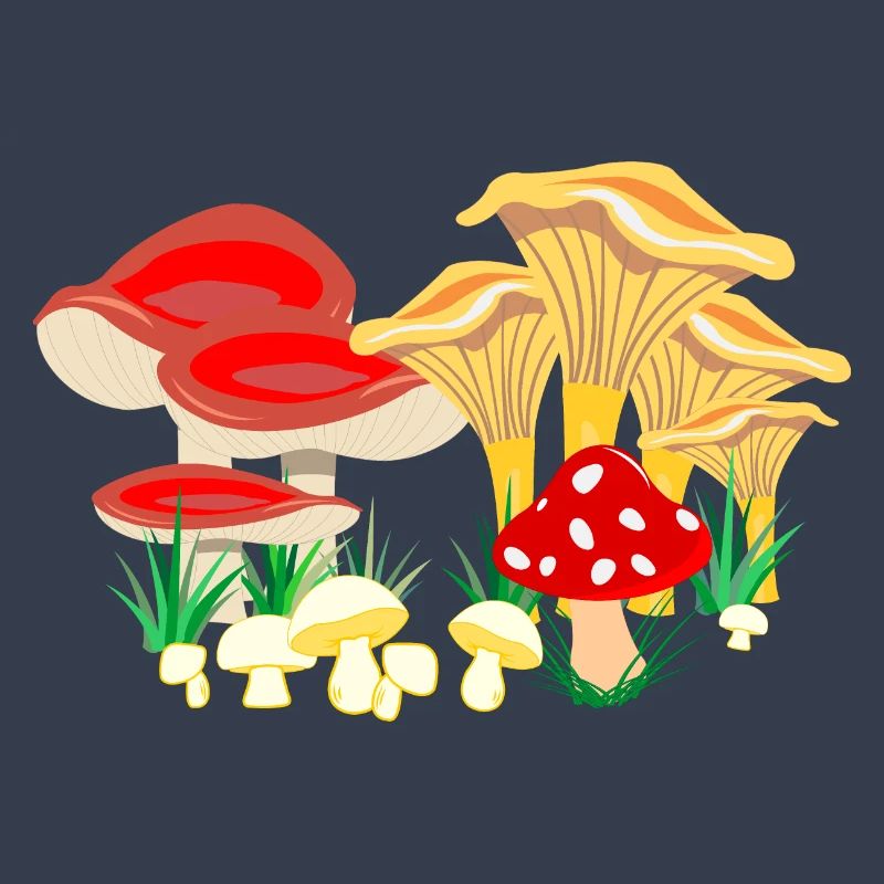 Composition colorée des champignons