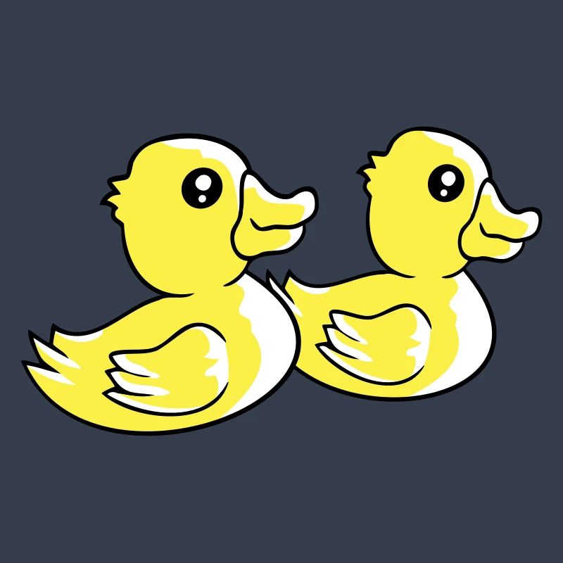 2 canards natation eau couple deux amis équipe