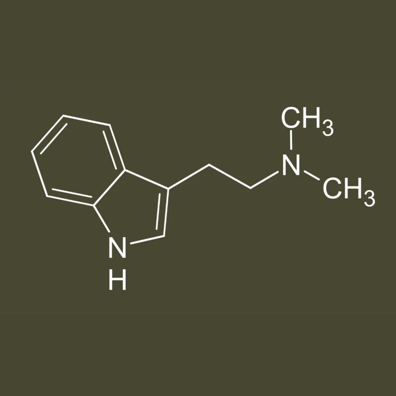 DMT dimethyltryptamine structural formula